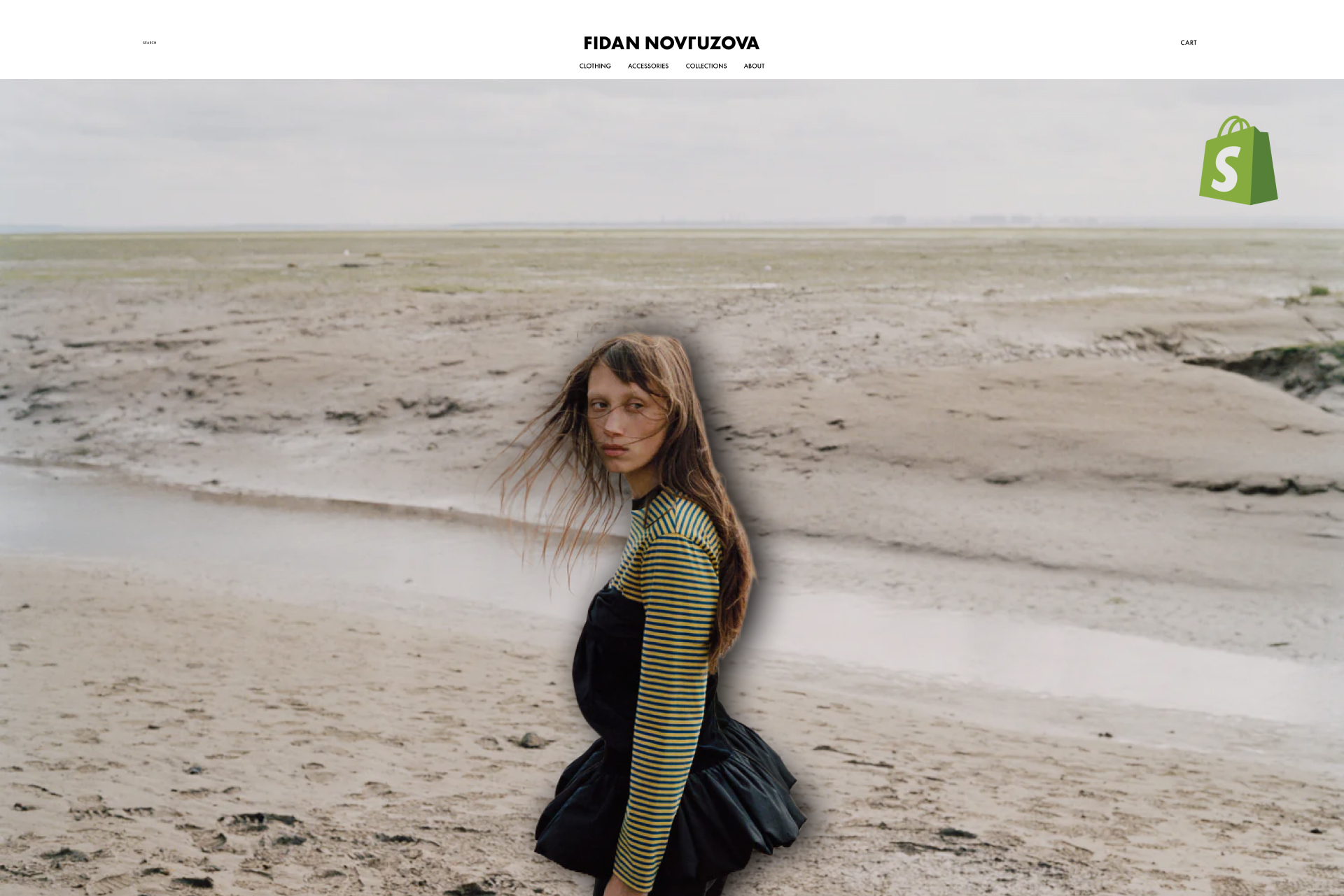 Digital Innovation Hub